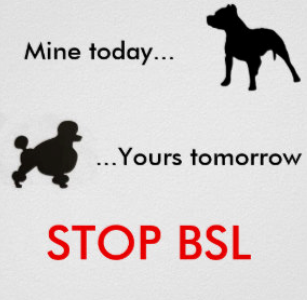 BSL5.png