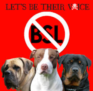 BSL3.png
